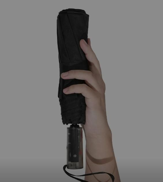 The Magic Umbrella