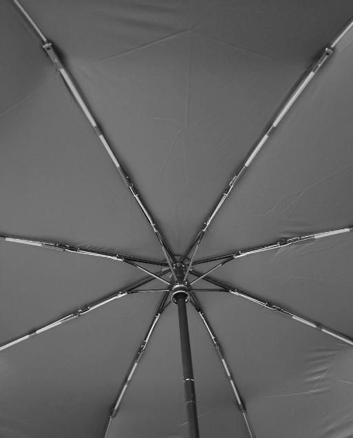The Magic Umbrella