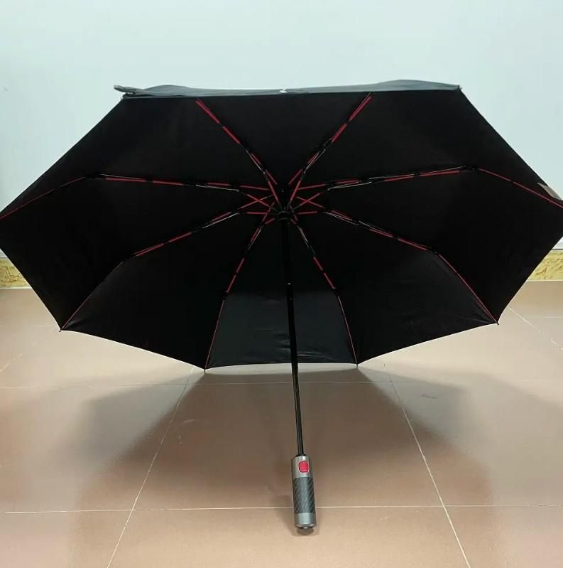 The Magic Umbrella