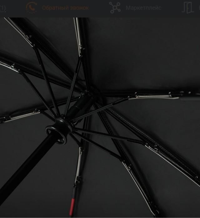 The Magic Umbrella